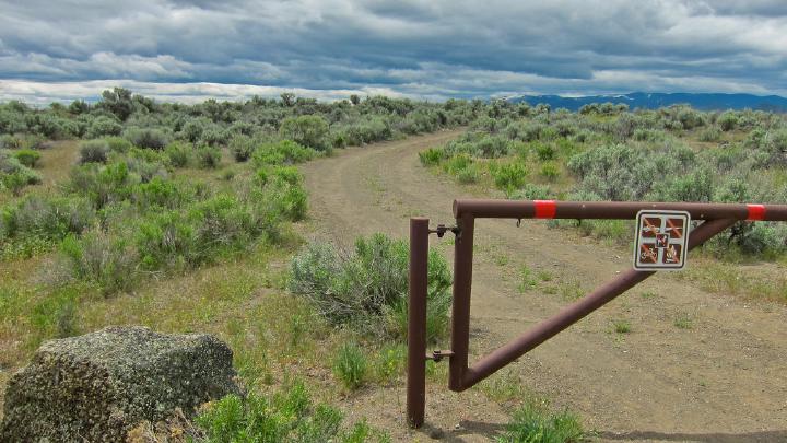 What the Duck Is Up with Trail Running?