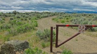 What the Duck Is Up with Trail Running?