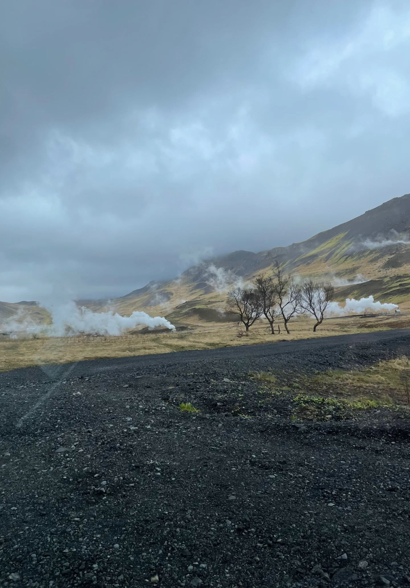 Geothermal steam rising from the hills
