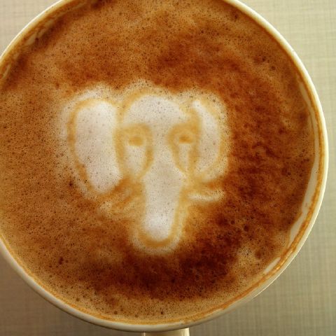 Today's latte, PostgreSQL.