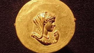 Haiku 5.5: Cheaper by the Token